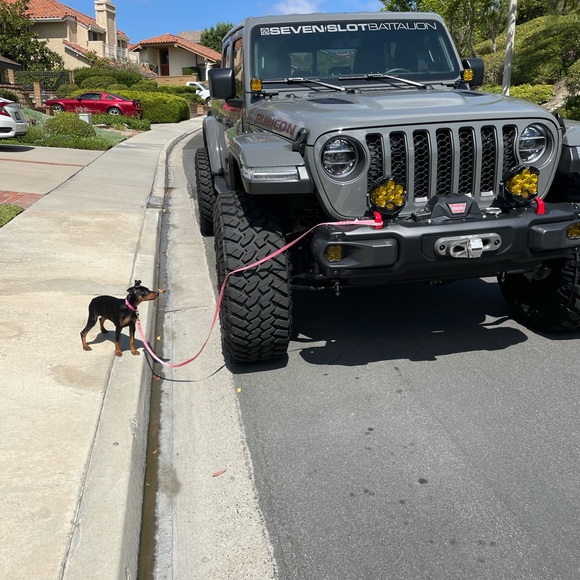 Profile - Picture 2 of 4